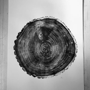 May include: Black and white print of a tree trunk cross-section, showing the rings of growth. The print is on a white background.