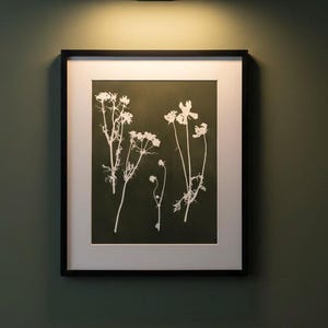 Puede incluir: Una impresión botánica enmarcada con siluetas florales blancas sobre un fondo verde oscuro. La obra de arte está montada en un marco negro con un passe-partout blanco. Una luz de cuadro rectangular negra está montada encima del marco.