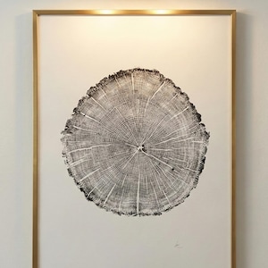 Maine Tree ring print, York Maine, Oak tree print, Oak tree art, Original Woodcut print, Tree stamp art, Linton Art
