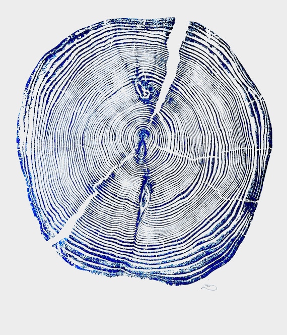 Blue Lake Superior, Lumber, Wood Wall art, Woodcut print, Wood Burning art, Biology Gifts, Michigan Print, Tree of Life, 1 year anniversary,