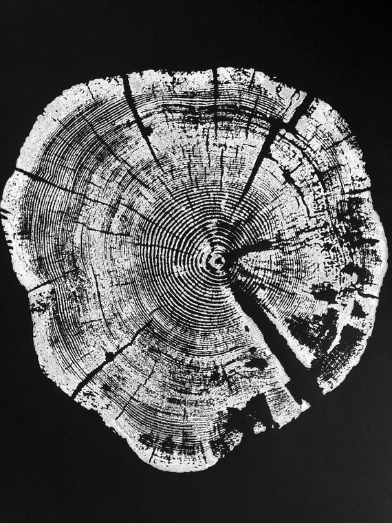 Glacier National Park, Tree Ring Print on Black paper, 18x24, Tree Ring Print