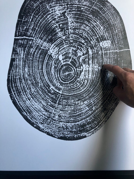 Texas Art Print, Pecan Tree, Waco Texas, Tree Ring Print, Austin TX, Natural Wood Slices