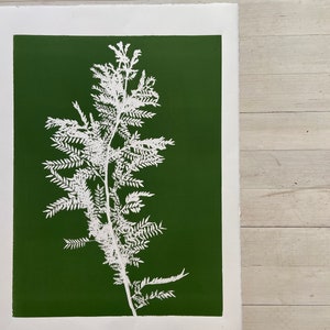 Green Locust Branch, hand pressed botanicals, From Real Plants, Green monoprint, giclee botanicals, Plant wall art, collage