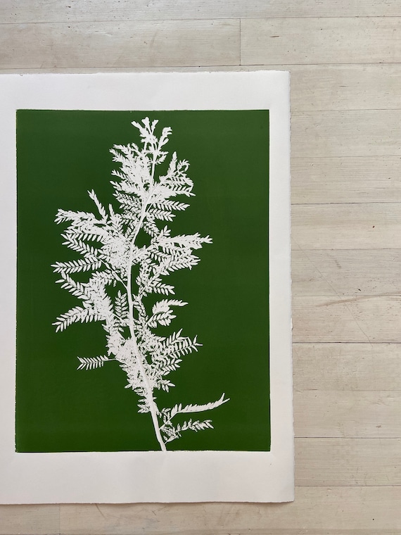 Green Locust Branch, hand pressed botanicals, From Real Plants, Green monoprint, giclee botanicals, Plant wall art, collage