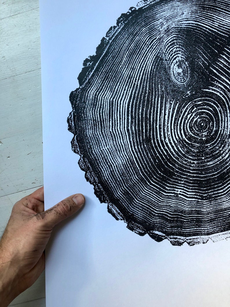 May include: A black and white print of a tree trunk cross-section, showing the rings of the tree. The print is on a white background.