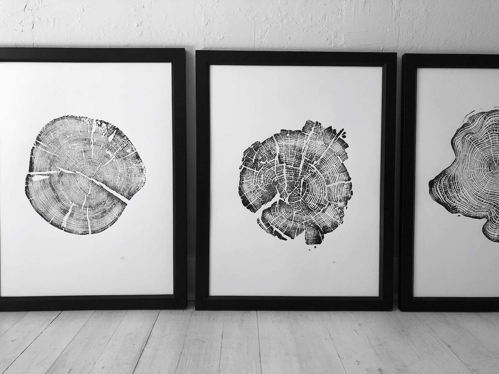 Triptych Tree Ring Art Tree Ring Art Prints From Alaska Etsy