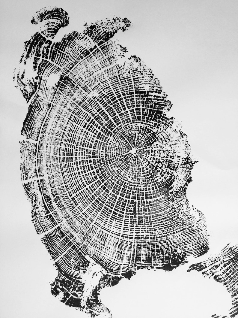 Oregon Coast, Driftwood Wall Art, Tree Ring Print, Lodgecore art, Cascade Mountains, Woodcut Art Black