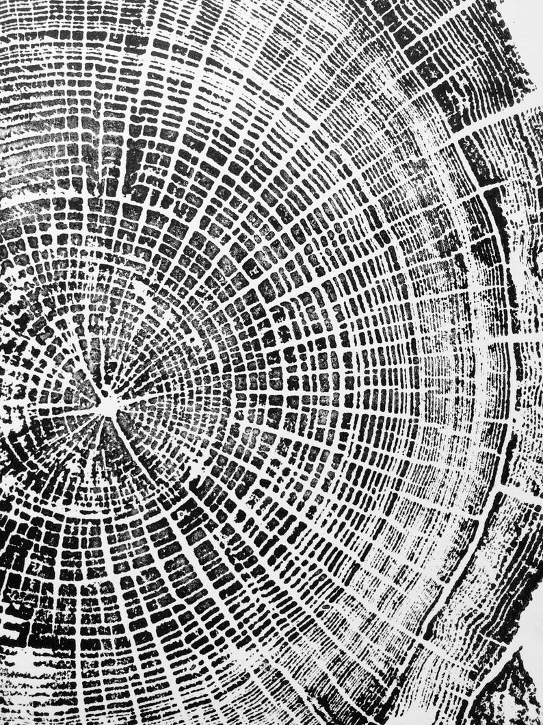 Oregon Coast, Driftwood Wall Art, Tree Ring Print, Lodgecore art, Cascade Mountains, Woodcut Art image 9