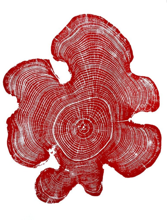 Ohio State, Red Tree Ring Print, Black Locust, Tree ring print, Woodcut print, Mandala Art Print, Woodcut Print