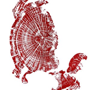 Oregon Coast, Driftwood Wall Art, Tree Ring Print, Lodgecore art, Cascade Mountains, Woodcut Art Red