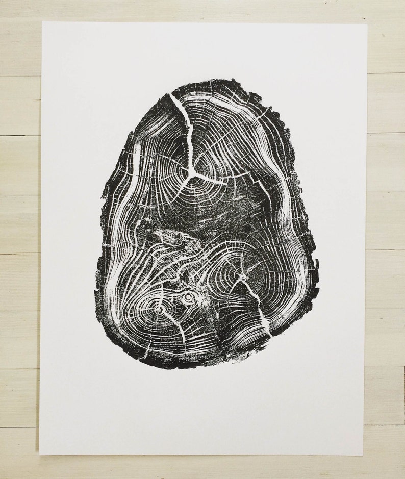 Locust Tree, Tree Anatomy, Botanical tree print, real tree stump art, Black Locust Tree, woodcut print, Tree stump print, Tree ring wall art image 6