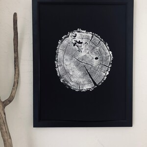 May include: Black and white print of a tree trunk cross section, showing the rings of the tree. The print is framed in a black frame.