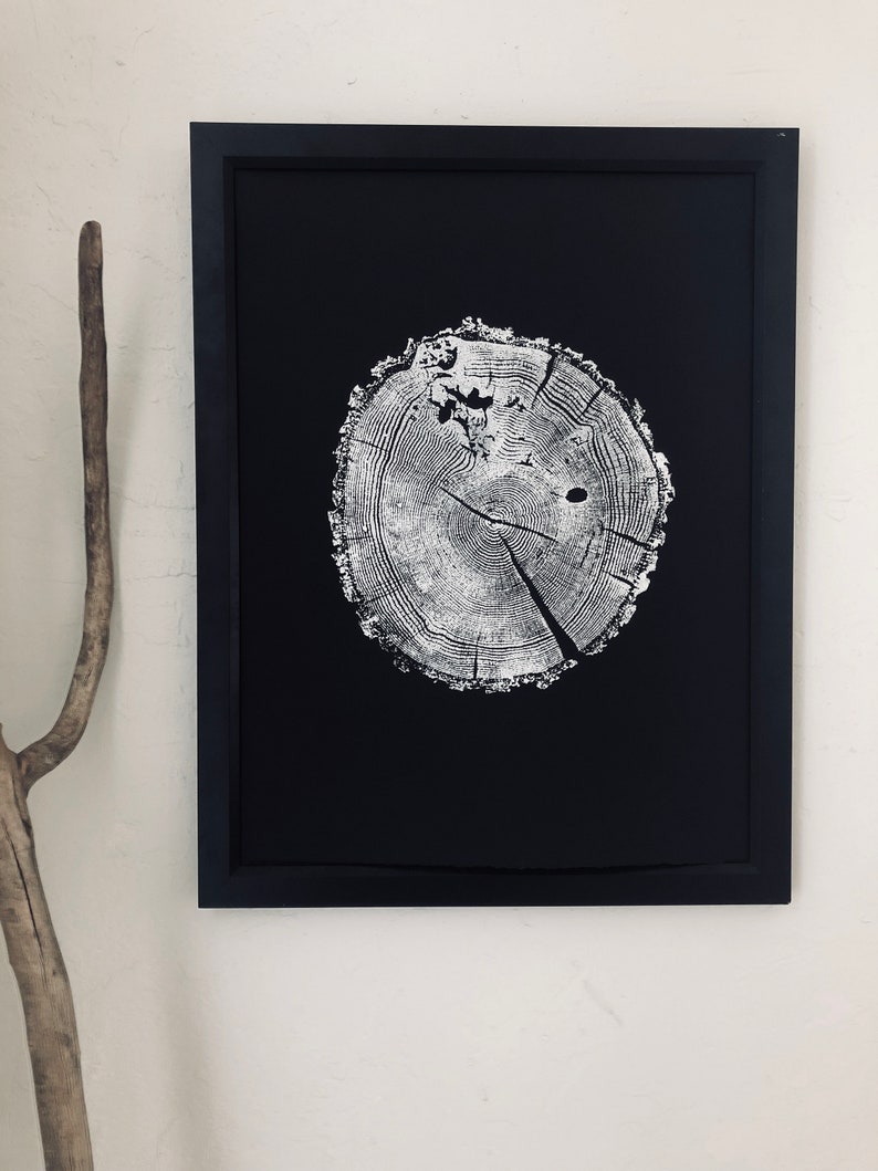 May include: Black and white print of a tree trunk cross section, showing the rings of the tree. The print is framed in a black frame.