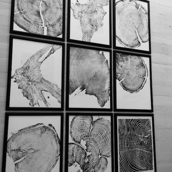 Wood Wall Art, Set of 9 Wall Art, Extra Large Wall Art, Woodcut print, Forestry, Tree Blocks, Biology Art, 12x16 inch, Signed Originals