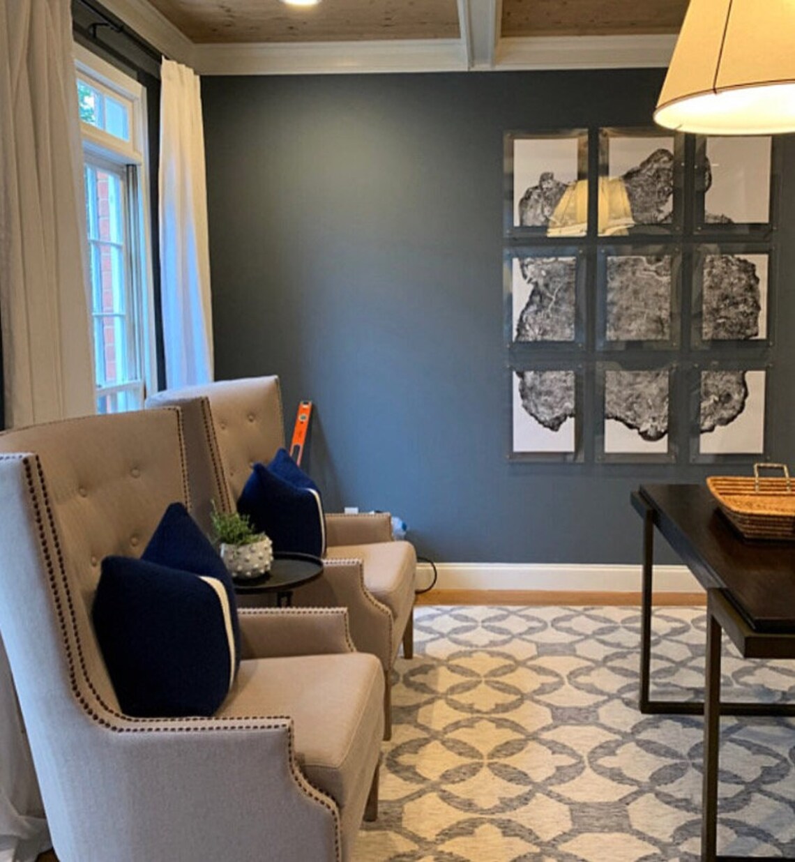 Big Leaf Maple Tree Ring Print Massachusetts Art Oversized - Etsy