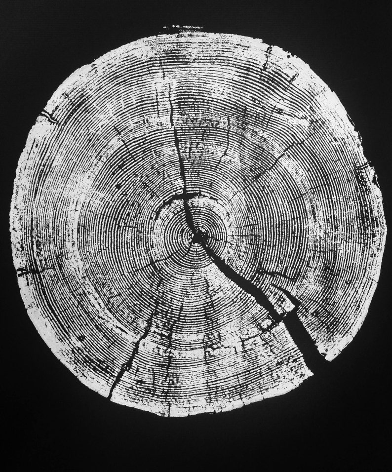 Tree Ring Art Print White on Black Print Rock Canyon Pine Etsy