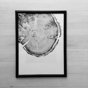 Nature Inspired Art, Wood Burning Art, Tree Ring Art, Tree Lovers Gifts, Signed original on 12x16 inch paper