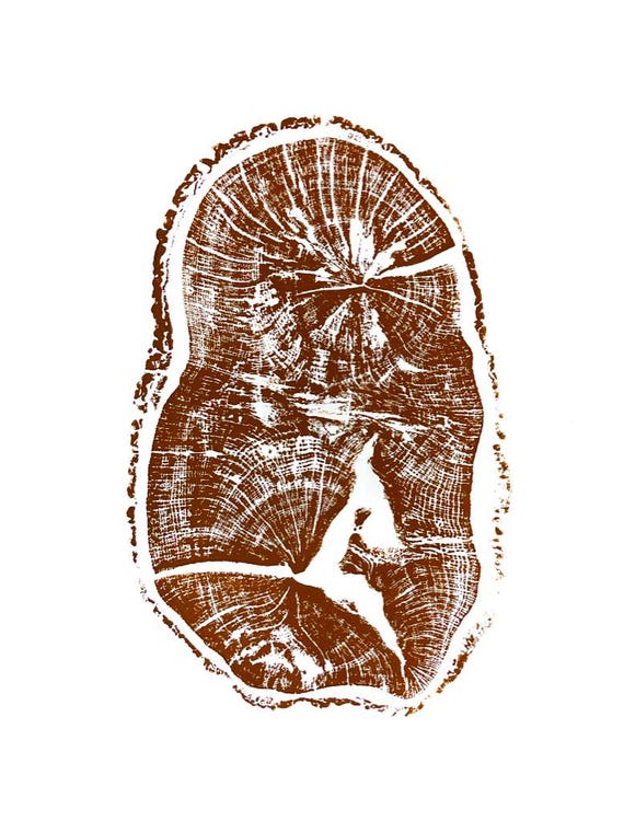 English Oak, Tree ring art print, Oak from Liverpool UK, Anniversary art, Tree ring art, Tree rings, Original Woodcut print by Erik Linton