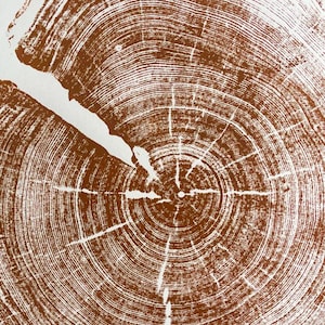 Utah-kunst, Uinta-gebergte, Forestcore-kunst Boomringprint, houtsnedeprint, boomringkunst, plakjes natuurlijk hout, origineel gesigneerd 18 x 24 inch Brown