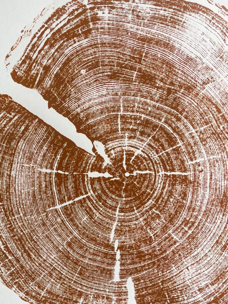 Utah-kunst, Uinta-gebergte, Forestcore-kunst Boomringprint, houtsnedeprint, boomringkunst, plakjes natuurlijk hout, origineel gesigneerd 18 x 24 inch Brown