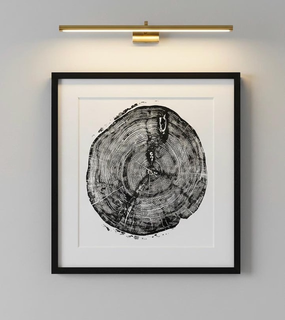 Utah Art, Sundance Canyon, Ski Art, Flora Decor, Great Salt Lake, Tree Ring Print, Huge wall art