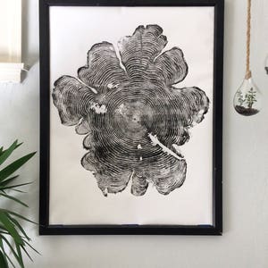 May include: Black and white print of a tree ring cross section in a black frame. The print is on white paper and the tree ring pattern is detailed and intricate.