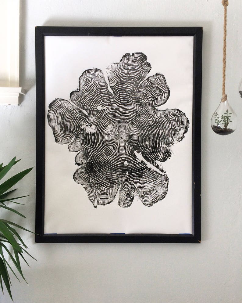 May include: Black and white print of a tree ring cross section in a black frame. The print is on white paper and the tree ring pattern is detailed and intricate.