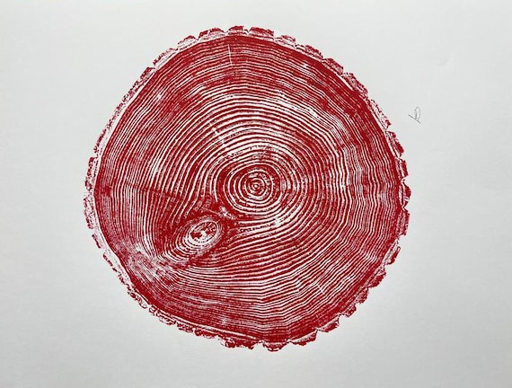 Maine Print, Balm of Gilead, Tree ring print, Maine Poster, Arcadia, Arborist, Forestry, Live Edge wood, Signed original