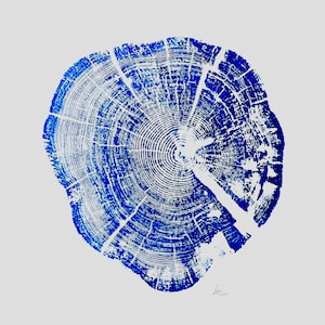 Glacier National Park, Montana Art, Tree ring art, Woodcut print, Tree ring art print, Christmas Tree, Arborist gifts