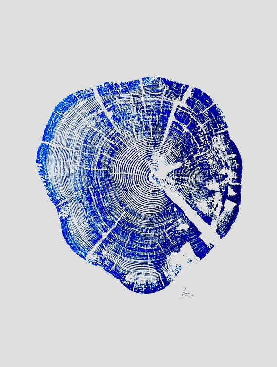 Glacier National Park, Montana Art, Tree ring art, Woodcut print, Tree ring art print, Christmas Tree, Arborist gifts
