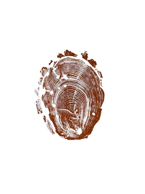 Walden Pond, Tree ring print from Massachusetts, Locust tree, Woodcut print, tree stump print, by Erik Linton