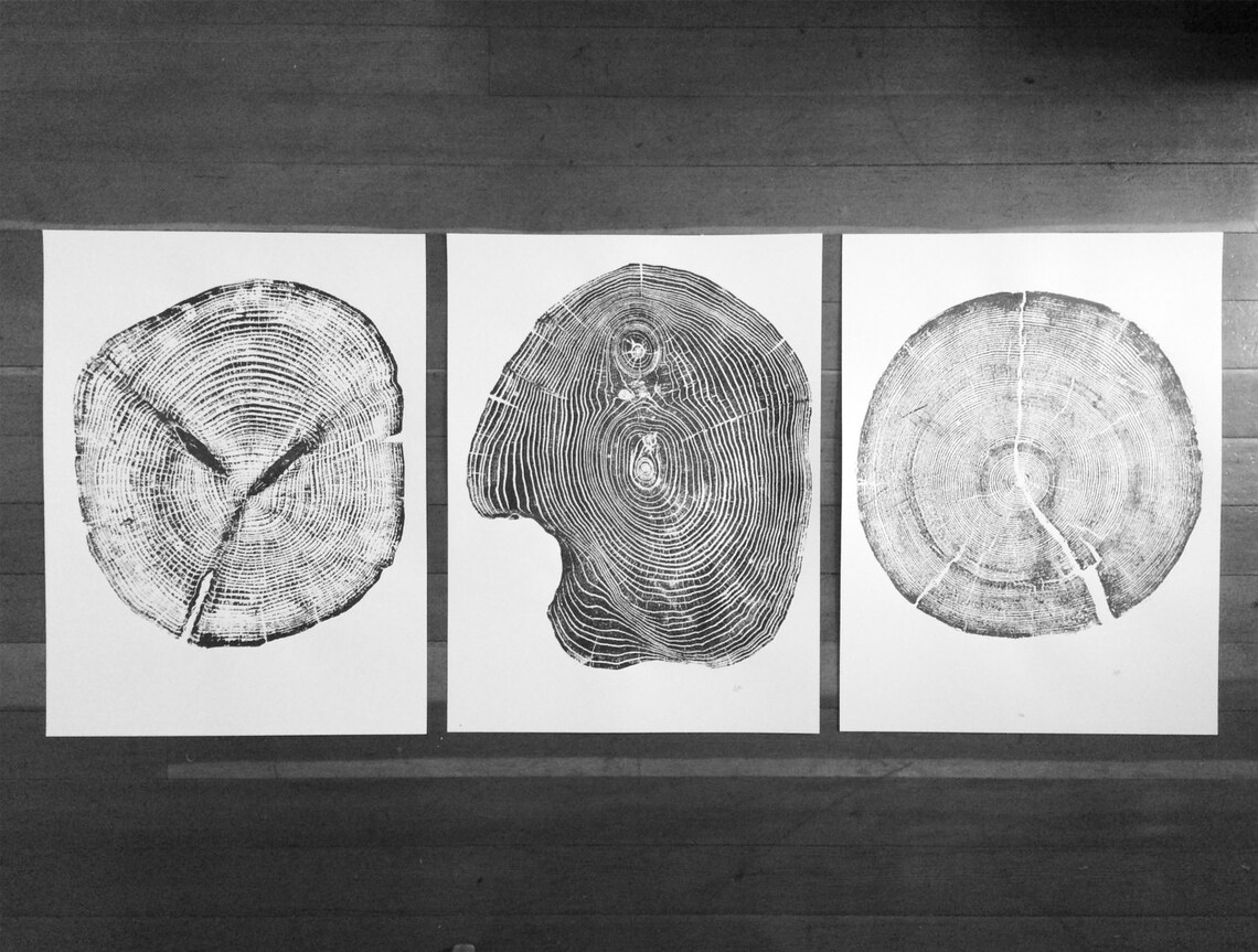 Set of 3 Tree Ring Prints Triptych Wall Art Large Tree Etsy UK