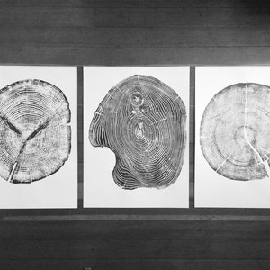 Set of 3, Utah Art, Alaska Art, Ohio State Art, Mulberry Tree, Cedar Tree, Wood Slice Wall Art image 8