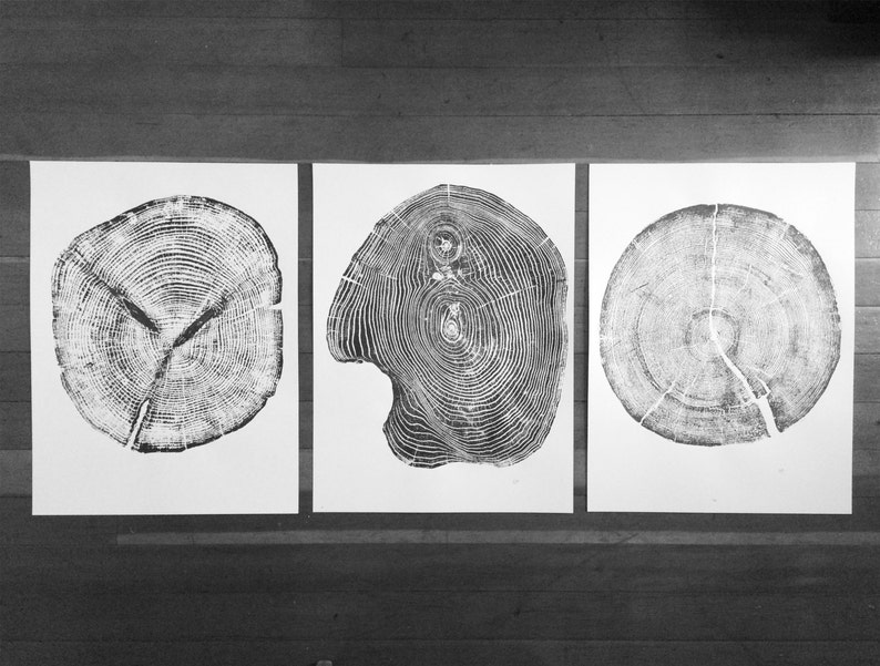 Set of 3, Utah Art, Alaska Art, Ohio State Art, Mulberry Tree, Cedar Tree, Wood Slice Wall Art image 8