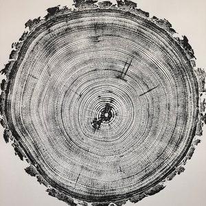 Denver Colorado, Tree Ring Art Print, Douglas Fir Tree, Colorado Tree ...