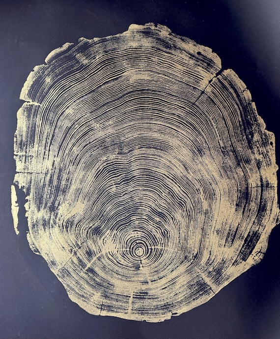 San Francisco Redwood, Gold on Black Paper, Redwood Tree Art, Old Growth Redwood, Original Signed artwork made from Real Redwood. 36x48