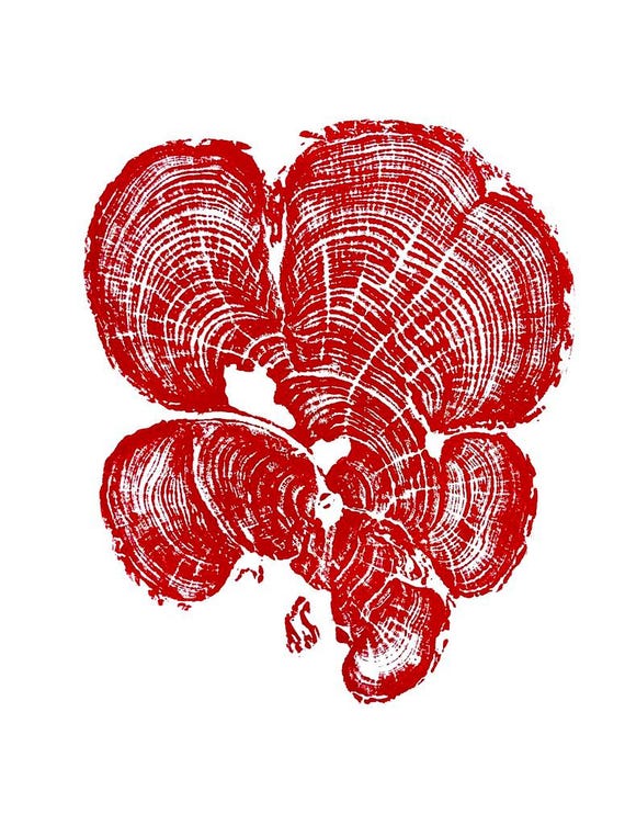 Grand Canyon Cedar, Tree Ring Print, woodcut art, Real tree rings, Nature inspired art, real tree art, Arborist art, Christmas art gifts
