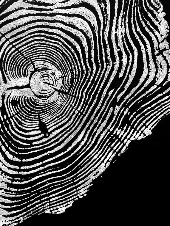 Yellowstone, Tree ring art Print, white ink, black paper, tree stamp 18x24