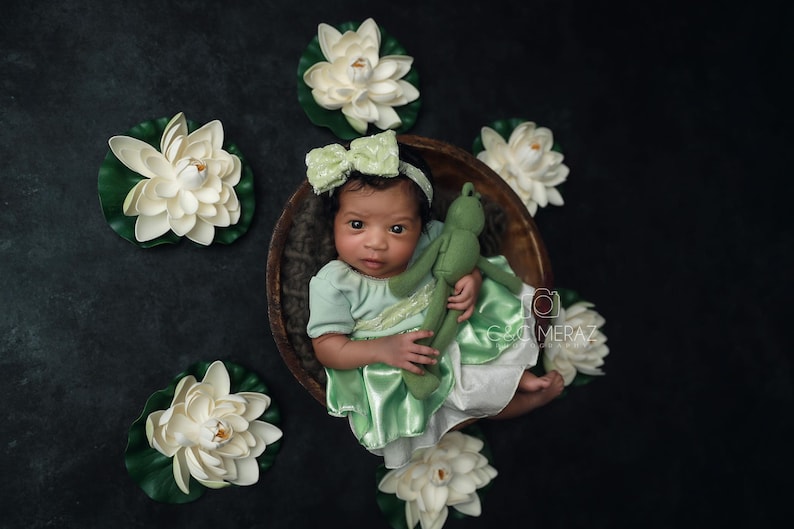 Lil/' Princess Ti Newborn First Photoshoot New Orleans
