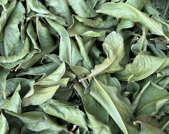 Dry Organic Lemon leaves For Tea-Infussion