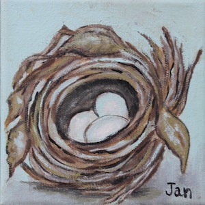 Nest