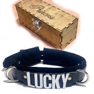Leather lockable collar any word w/personally engraved wood gift box