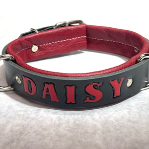 Custom Adjustable Leather dog collar any name stamped & painted