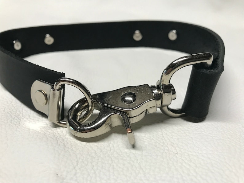 May include: A black leather collar with silver metal rivets and a silver metal hook and loop closure.