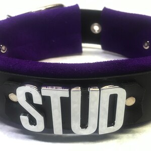 Large buckle/strap collar HUGE Letters! Custom word(s)