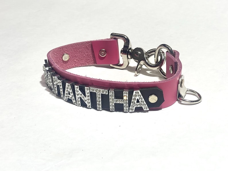 May include: Pink leather dog collar with a silver clasp and the name "Samantha" spelled out in black letters with rhinestones.