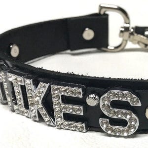 May include: Black leather dog collar with silver rhinestones spelling out "D.I.K.E.S."