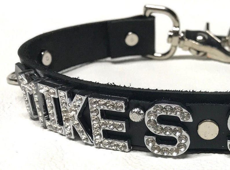 May include: Black leather dog collar with silver rhinestones spelling out "D.I.K.E.S."