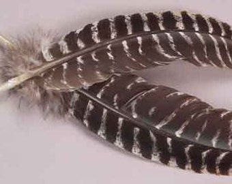 Turkey Feather - Smudging - Natural - Make Your Own Smudge Fan