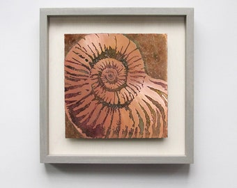 Copper Art, Etched Copper Nautilus Fossil 9" or 12" Square Framed Wall Art, Copper Wall Decor made to order by daartshop